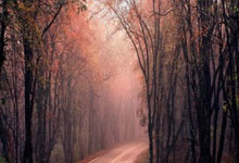 DeFi Token Performance & Investor Trends Post-October Crash (2025): An Unvarnished 2025 Outlook