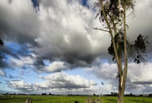 DeFi Token Performance & Investor Trends Post-October Crash (2025): An Unvarnished 2025 Outlook