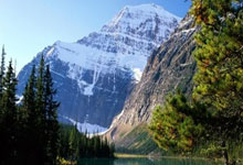 DeFi Token Performance & Investor Trends Post-October Crash (2025): An Unvarnished 2025 Outlook